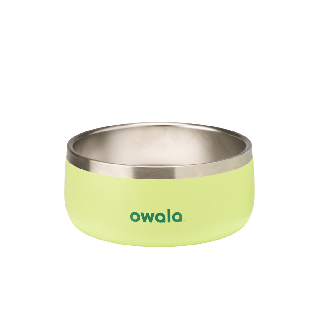 Pet Bowl 3-cup in Sweet Treat; matte lime green cup exterior with stainless steel interior rim and dark green Owala logo on front
