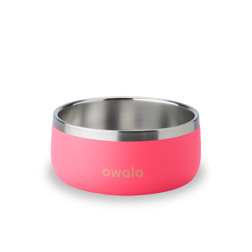 Pet Bowl - Your water habit starts now.