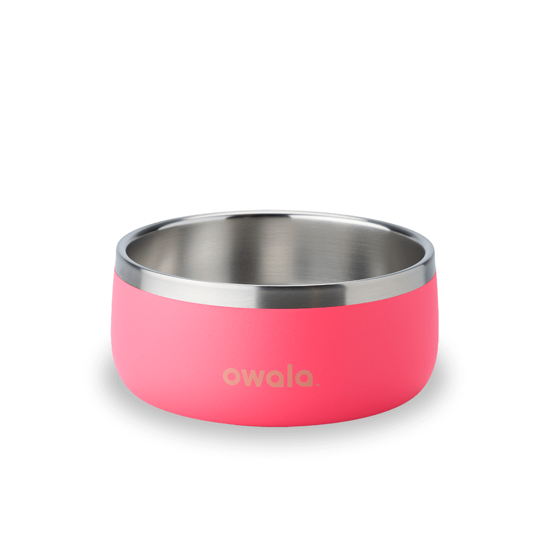 Pet Bowl - Your water habit starts now.